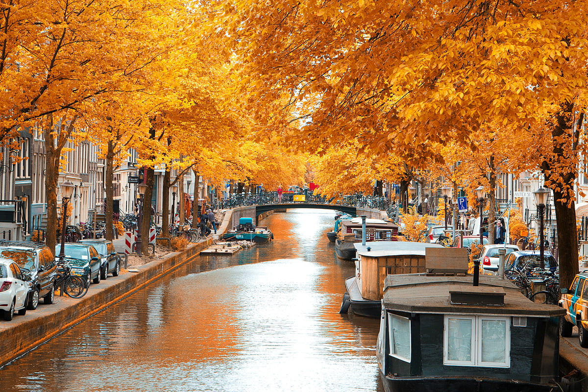 Autumn in Amsterdam