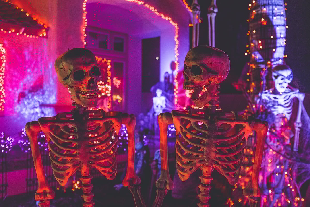 Unsplash : Halloween Skeletons looking at each other 