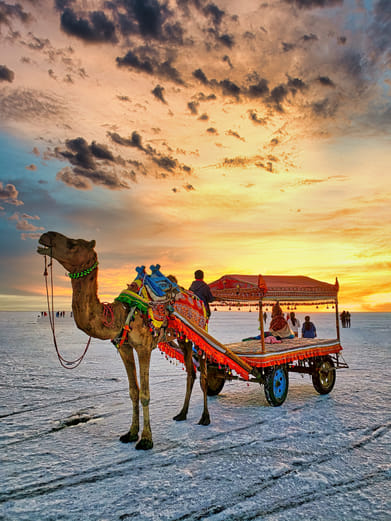 Shutterstock.com : Dhordo is famous for hosting the annual Rann Utsav