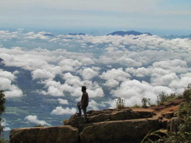 Dolphin’s Nose Point