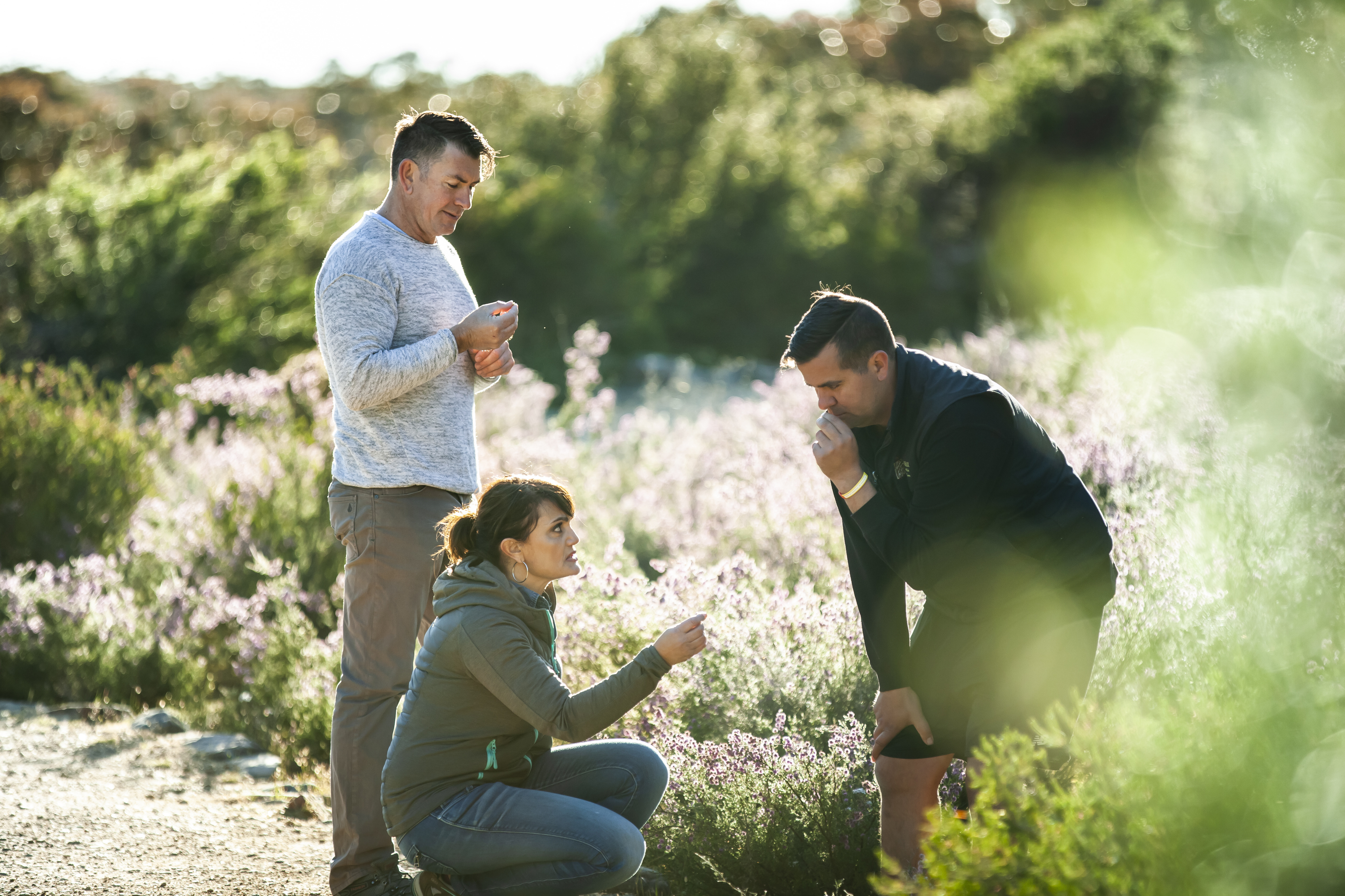 Grampians National Park, Victoria 