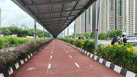 Solar Cycle Track