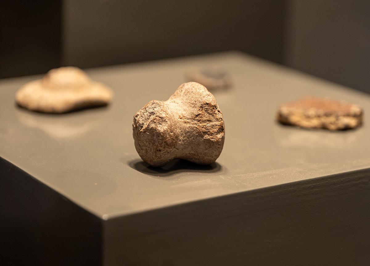 Close-up of white painted pot sherds on display at the Keeladi Museum