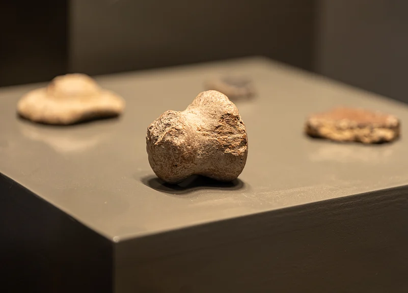 Close-up of white painted pot sherds on display at the Keeladi Museum
