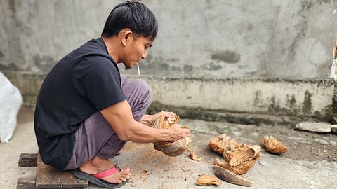 Man peeling coconut fiber