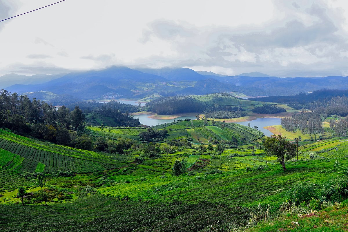 Unsplash : Ooty