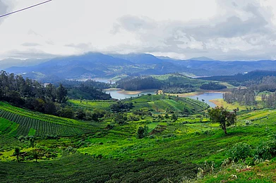 Unsplash : Ooty