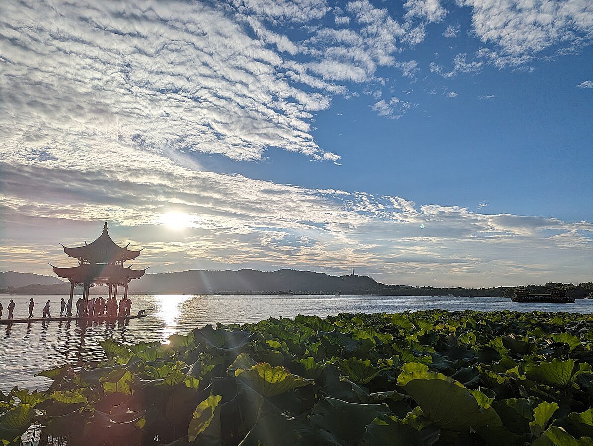 Aqu1248050/WikiCommons