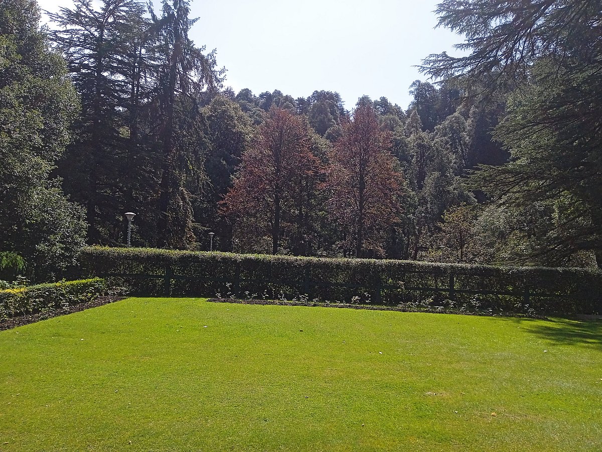 The lawn at the property