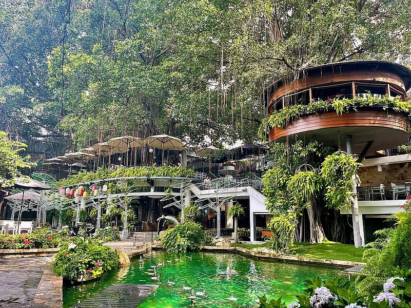 Du Mien Garden Café