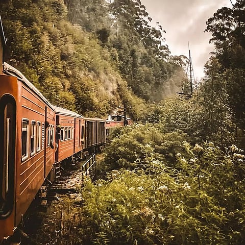 Hill Country Train in Sri Lanka