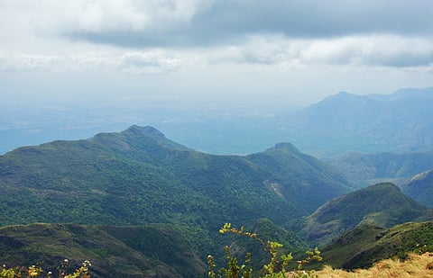 Green Valley View Point