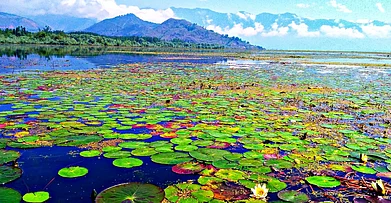 Wikimedia Commons : Wular Lake
