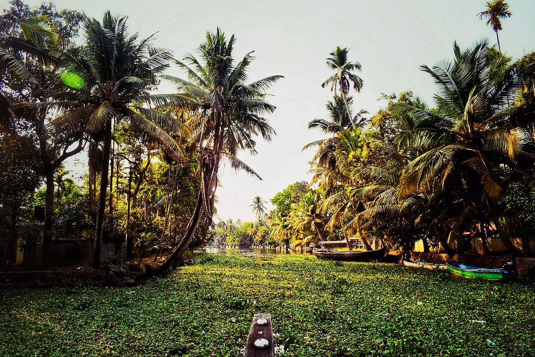 Alleppey