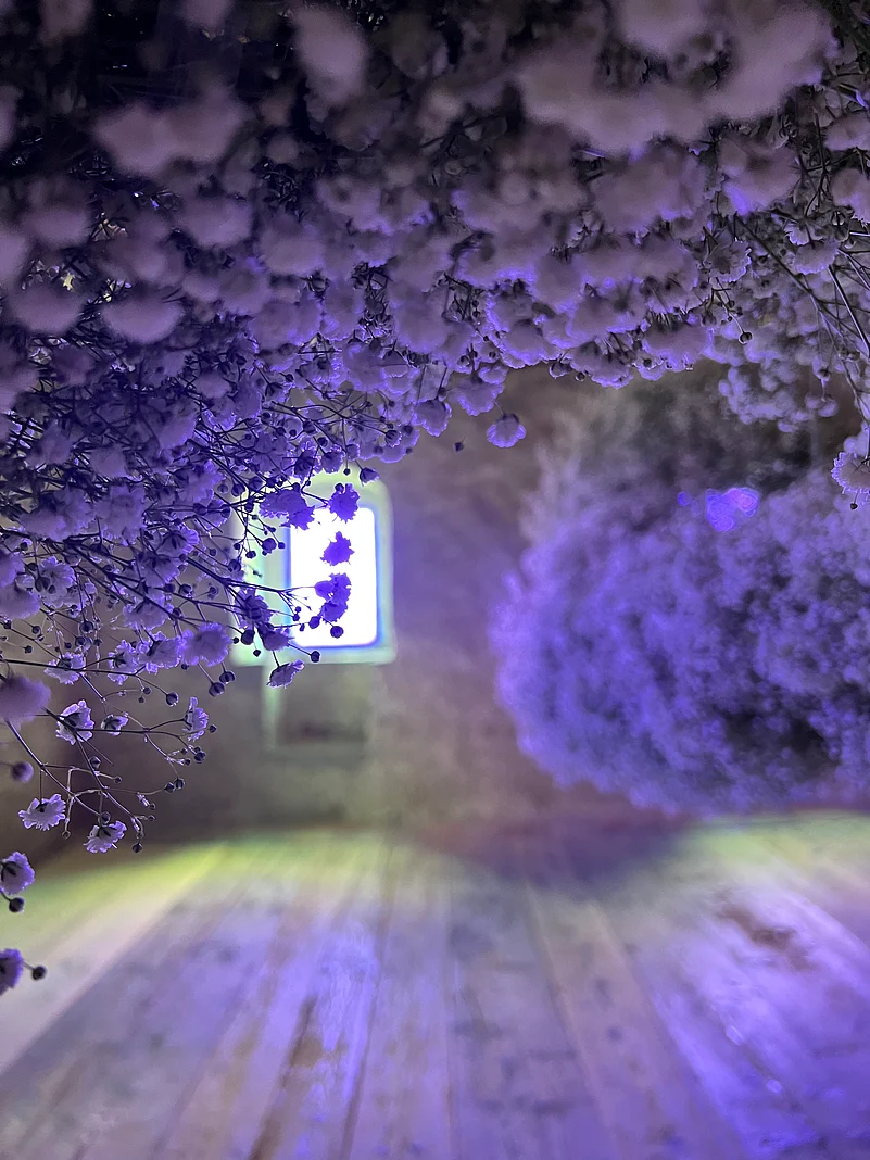 Arxs flower arrangements at Wildegg Castle, Lenzburg, Switzerland