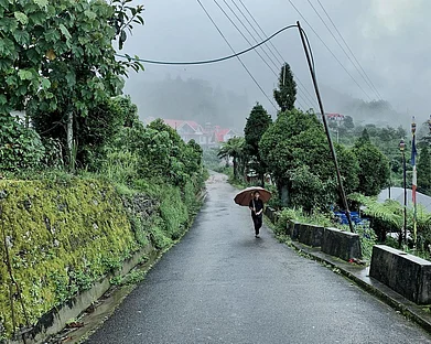 @swaratghosh/Instagram : Mist-laden walks in Charkhole