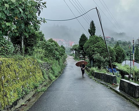 Mist-laden walks in Charkhole, Kalimpong