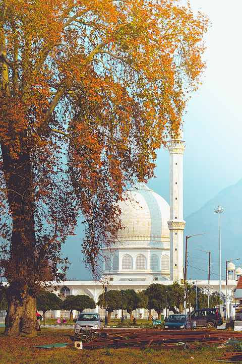 Srinagar, Kashmir 