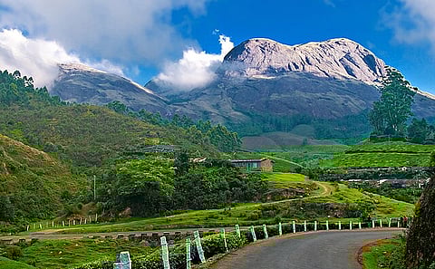 Munnar in winters