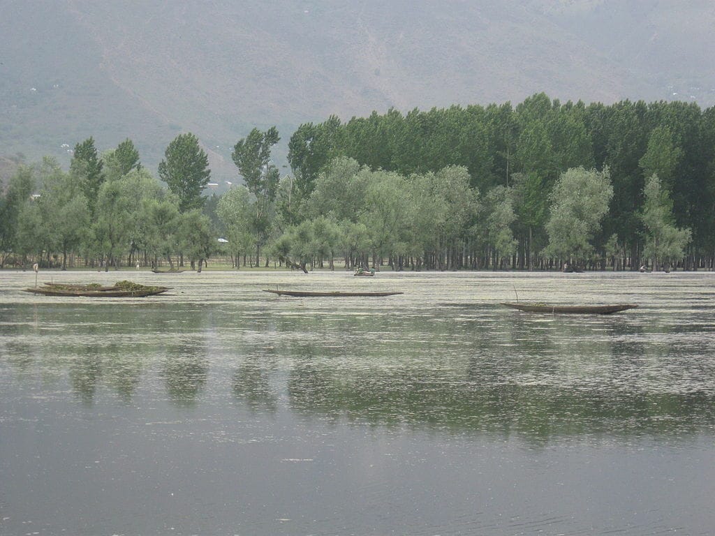 Boats floating on the Wular Lake