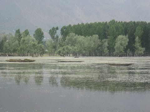 Boats floating on the Wular Lake
