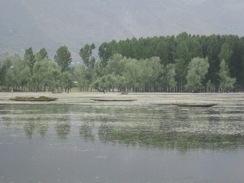 Boats floating on the Wular Lake