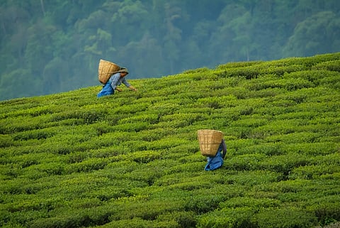 Chalamthang