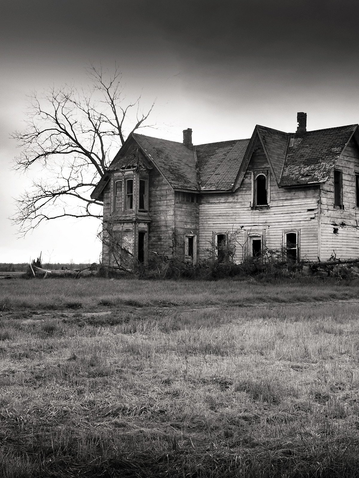 Shutterstock.com : Representative image