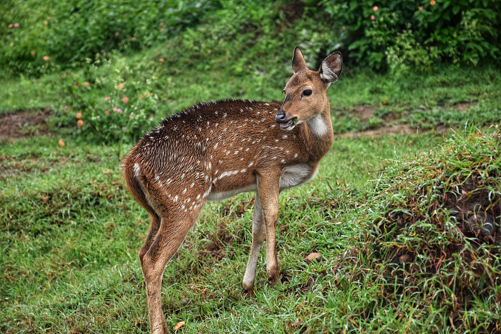 Shutterstock : For representational purposes