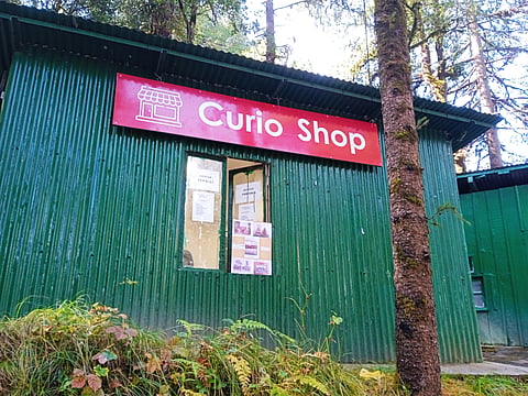Curio Shop