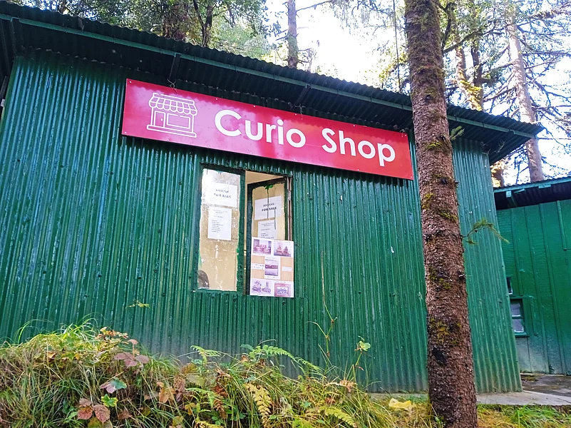 Curio Shop
