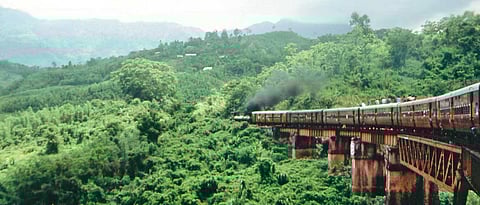 A train goes past thickly wooded hills in Haflong
