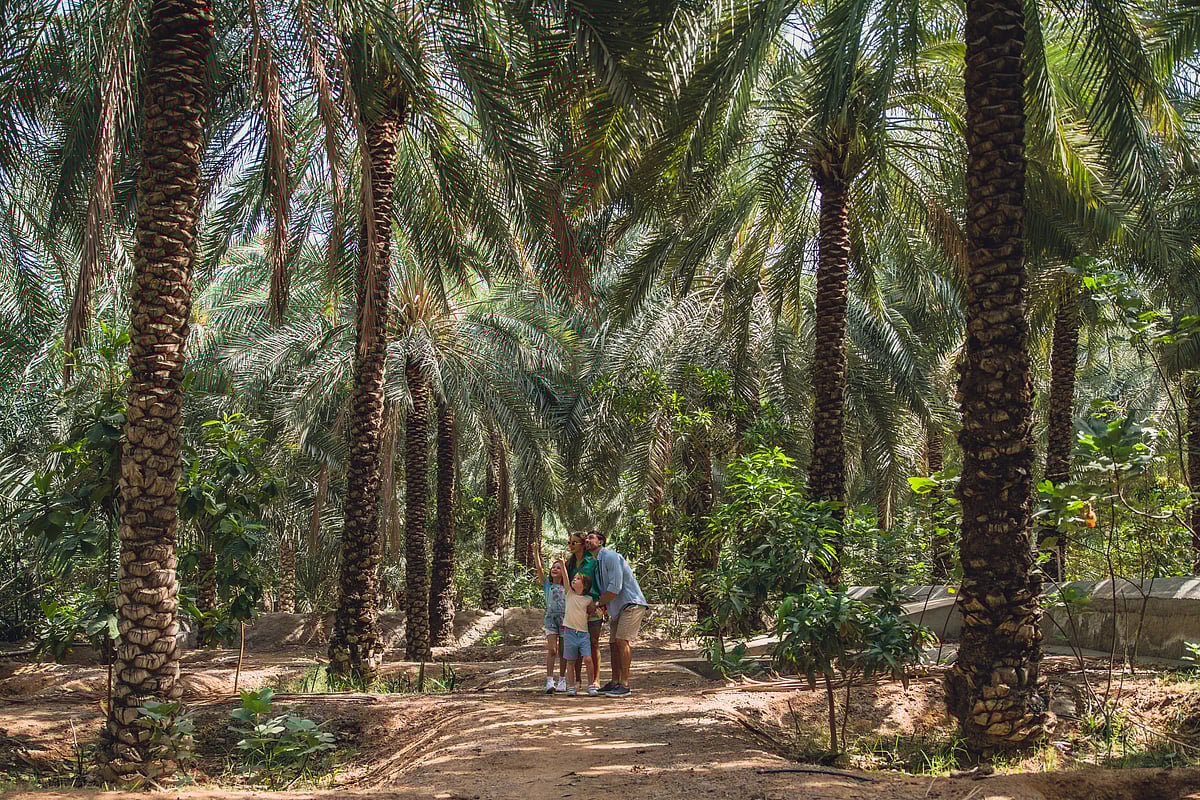 Ras Al Khaimah Tourism 