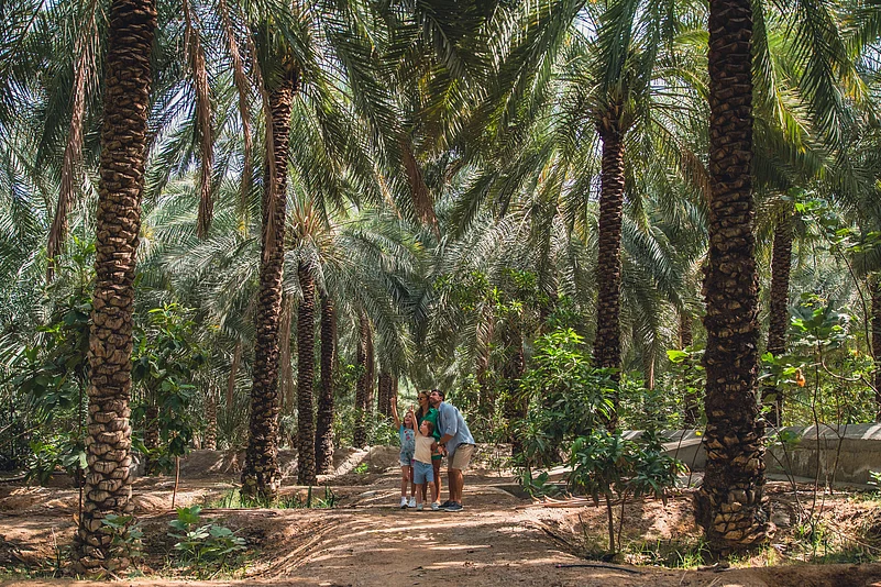 Ras Al Khaimah Tourism