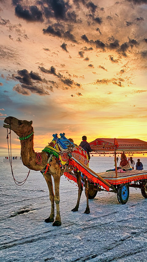 Rann of Kutch