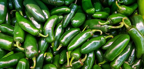 Jalapeños 