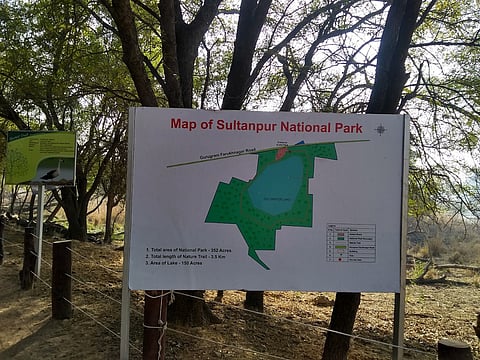 Sultanpur Bird Sanctuary
