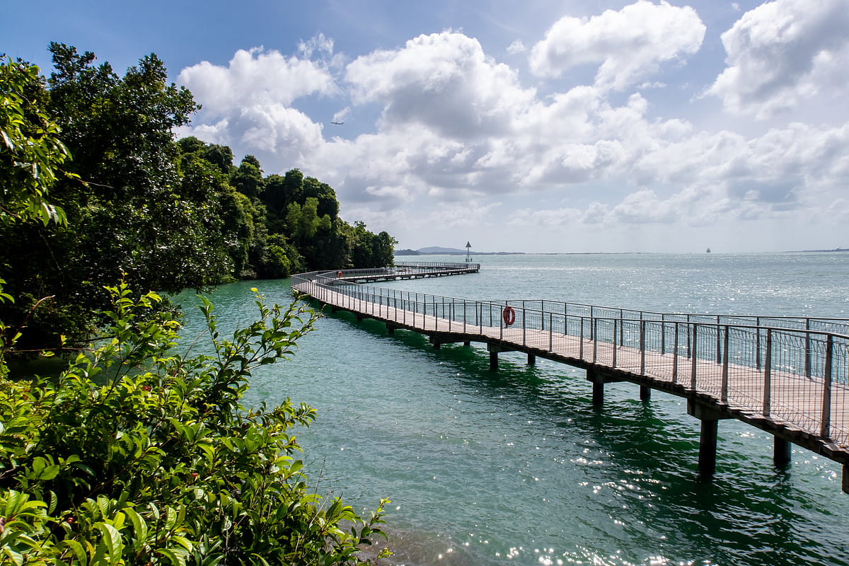 Pulau Ubin is an island situated in the northeast of Singapore