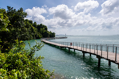 Pulau Ubin is an island situated in the northeast of Singapore