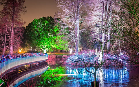 Kew Gardens in Christmas time