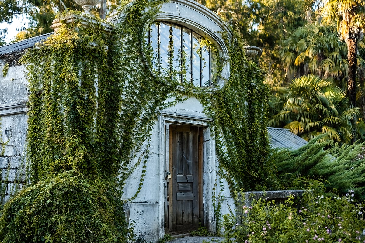 Inside the Batumi Botanical Garden