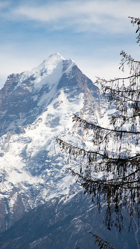 Auli