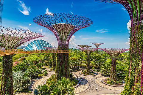 Gardens by the Bay in Singapore