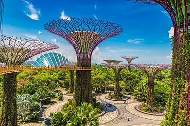 Shutterstock : Gardens by the Bay in Singapore