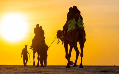 Shutterstock : Tourists riding camels at the Rann Utsav