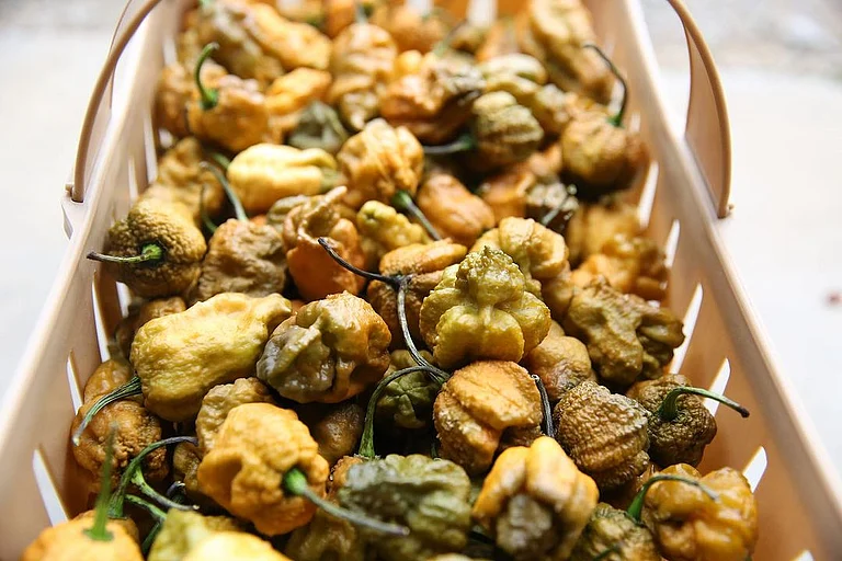 Pepper X is officially the hottest chilli pepper in the world - smokined/Instagram