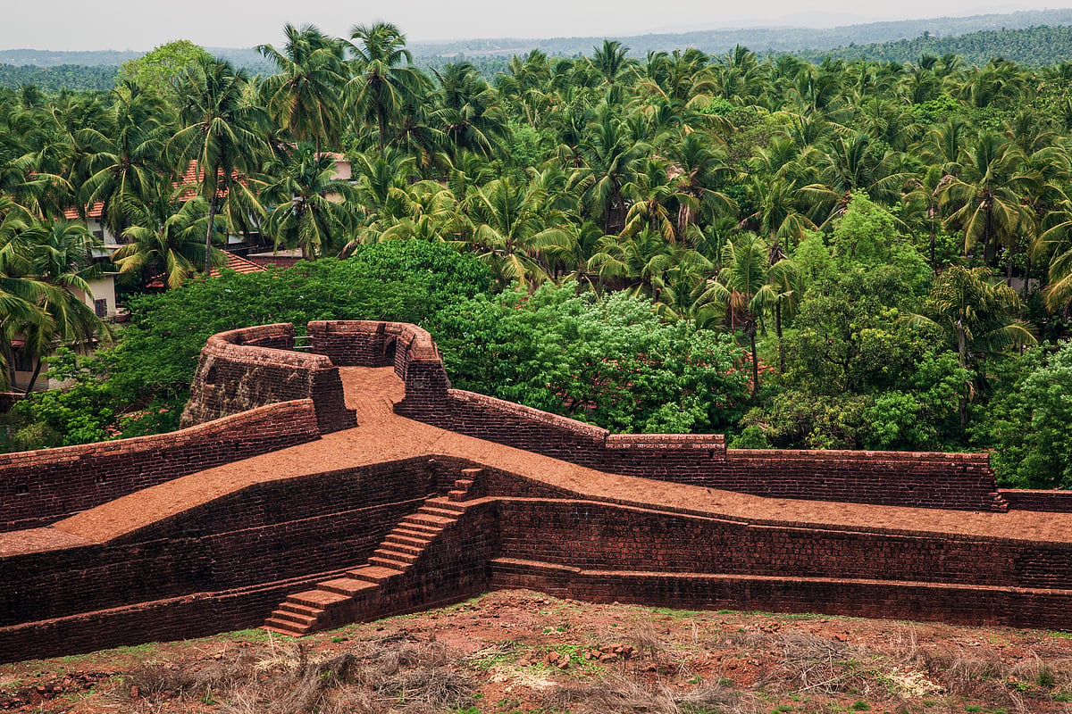 A fort bastion overlooking a gamut of coconut trees