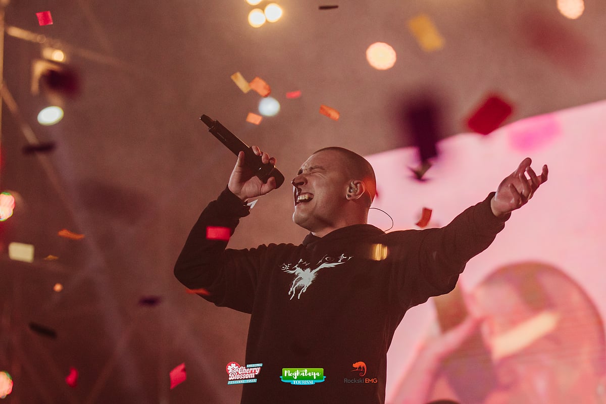 Hybrid Theory