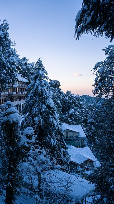 Dalhousie