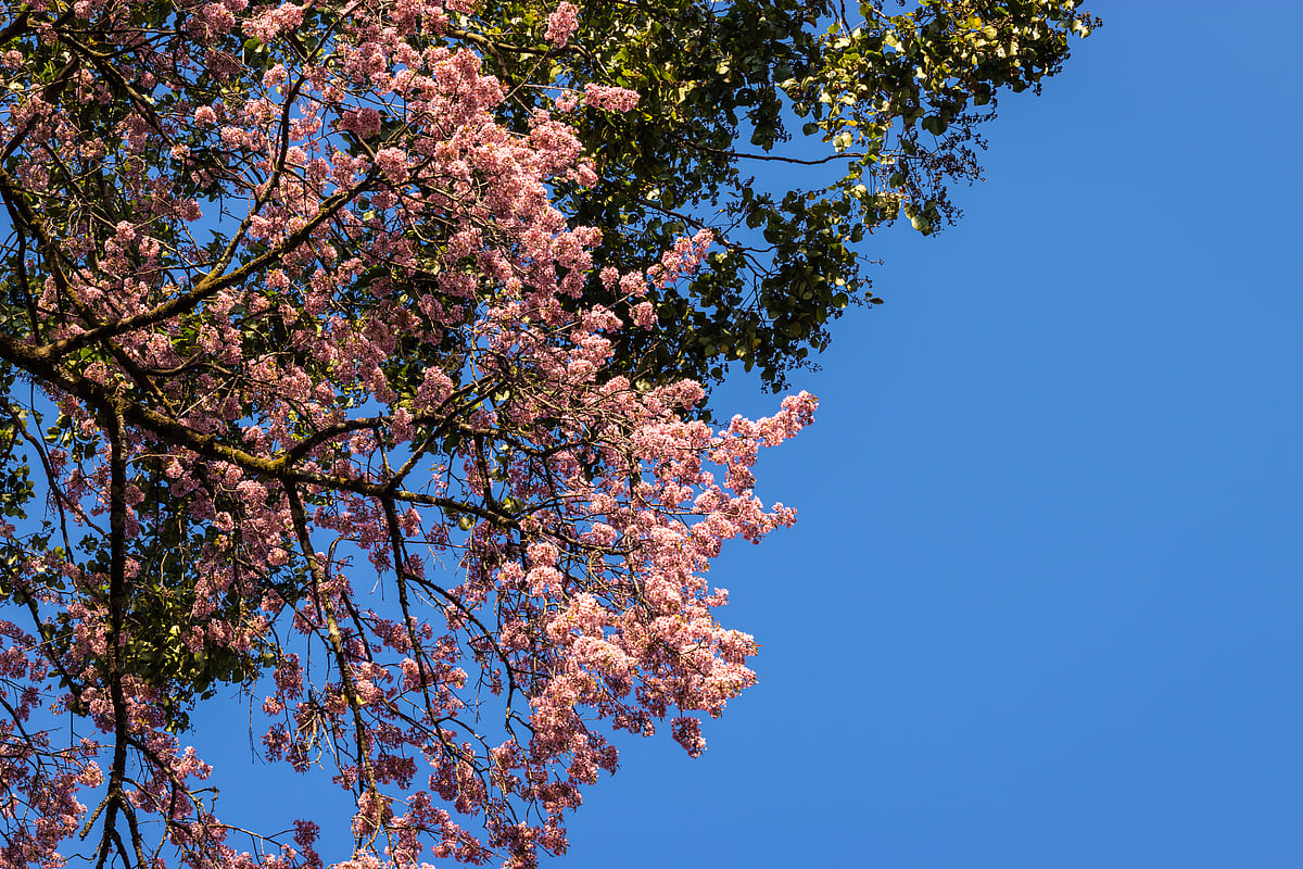 For representation purpose only